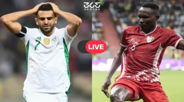 بث مباشر.. مشاهدة مباراة الجزائر والسودان ضمن منافسات كأس أمم إفريقيا اليوم